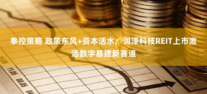 拳控策略 政策东风+资本活水：润泽科技REIT上市激活数字基建新赛道
