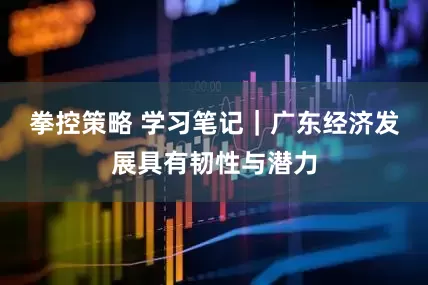 拳控策略 学习笔记｜广东经济发展具有韧性与潜力