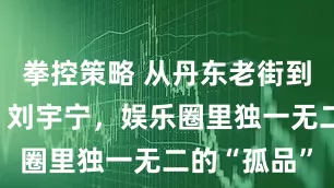 拳控策略 从丹东老街到聚光灯下：刘宇宁，娱乐圈里独一无二的“孤品”